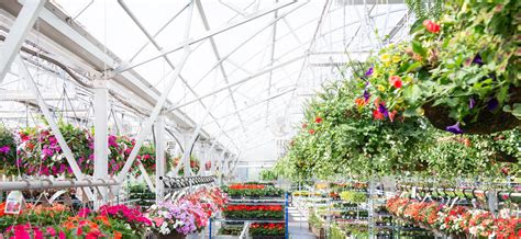 Mulhalls Nursery Omaha Garden Center And Landscaping Services
