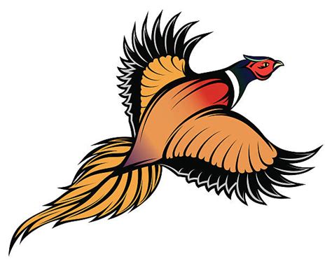 Pheasant Hunting Illustrations Royalty Free Vector Graphics And Clip Art