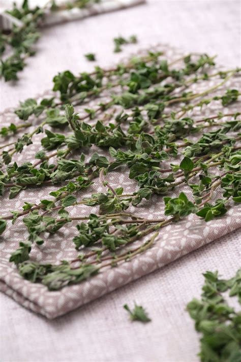 How To Dry Oregano In 1 Hour Easy Oven Drying Method