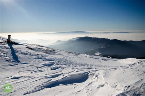 Iarna în Munții Țarcu Muntii Nostri