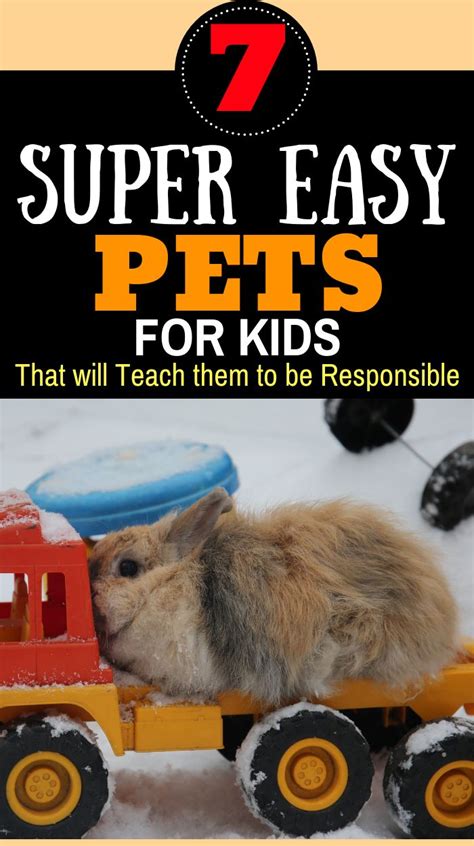 You might even wonder if cuddly pets and low maintenance pets fit into the same category at all. Are you a busy parent with kids who are begging for pets ...