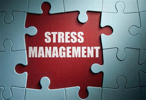 11 Best Stress Management Books