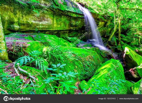 Beautiful Tropical Rainforest Waterfall In Deep Forest Phu Kradueng