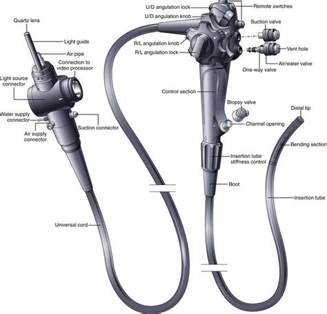 How Endoscopes Work Abdominal Key