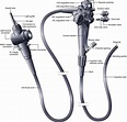 How Endoscopes Work | Abdominal Key