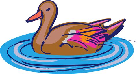 Duck Clipart Water Duck Water Transparent Free For Download On