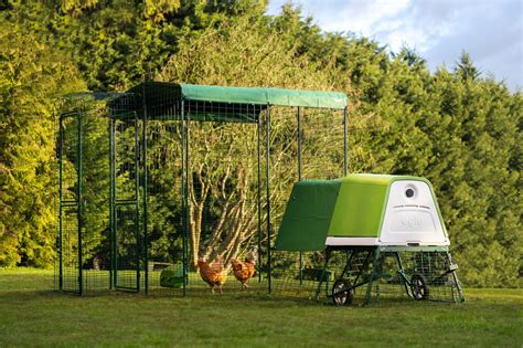 Benefits of a chicken tractor - Omlet Blog US