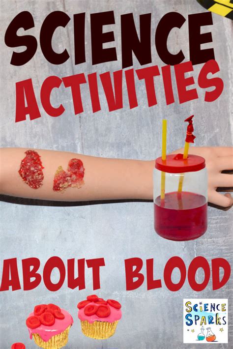 Science Activities About Blood