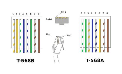 Cat5 Wiring Diagram Printable Wiring Diagram