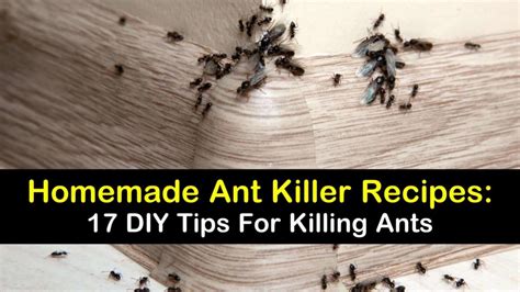 When the ants have stung their final sting and your feet are covered in bites, you begin to realize that something definitely needs to be done. 17 DIY Ant Killer Recipes for Indoors & Out