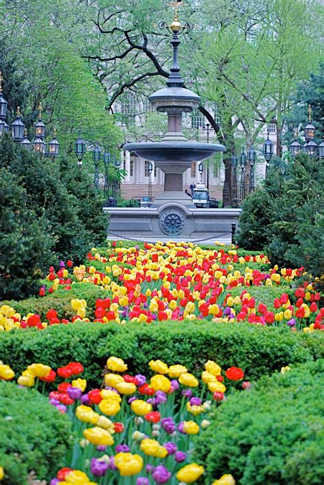 The flora of central park was documented through extensive collection of herbarium specimens central park is located on the island of manhattan (new york county) in southeast new york state. NYC ♥ NYC: The MOULD FOUNTAIN and Spring Flowers in City ...