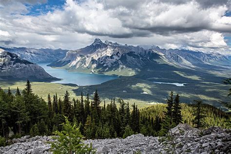 Visiter Le Parc National De Banff Les Incontournables Wild Birds