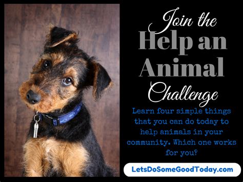 The Help An Animal Challenge Challenges Helpful Animals