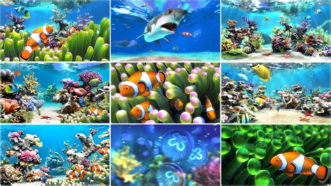 Sim Aquarium 3858 Free Download