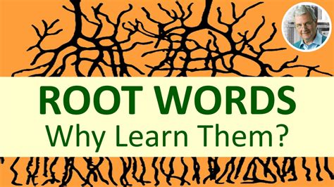 Why Learn Root Words Root Word Examples