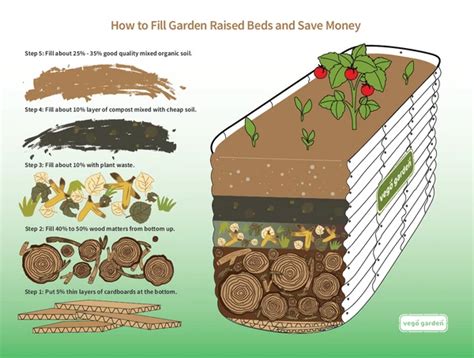 How To Fill Garden Raised Beds And Save Money Info Graphic By The