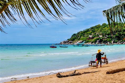 sairee beach koh tao a detailed guide for visitors