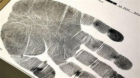 Palm Prints May Hold Key To Cold Cases Politics Cbc News