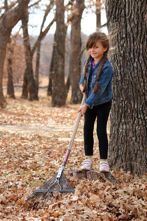 Little Girl Raking Leaves In Fall 2 Free Stock Photo