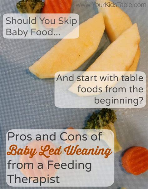 Baby Led Weaning First Foods All You Need Infos