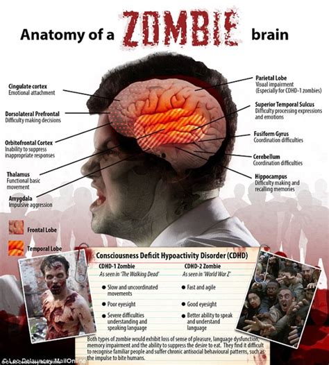 How To Survive A Zombie Apocalypse Daily Mail Online