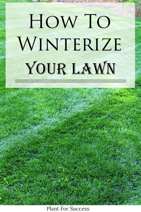 Best Grass Seed Lawn Winter Lawn Care Lawn Care Diy Lawn Care