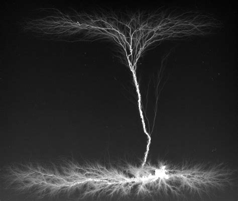 17 Best images about Lichtenberg Figures on Pinterest | To be, A tree ...