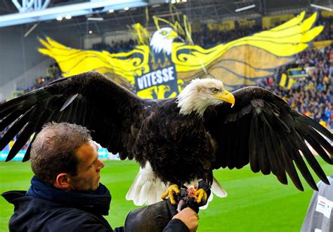 For vitesse, those qualities are in our dna. Vitesse - Hertog