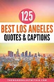 125 Best Los Angeles Quotes to Inspire Your Trip to the City of Angels ...