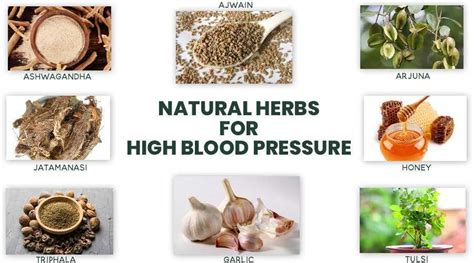 Best Ayurvedic Approach To Control Blood Pressure Herbs Diet Yoga