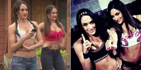 The 15 Biggest D Bags Of The Wwe Divas Therichest