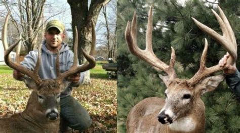 Feast Your Eyes On 5 Of The Biggest 8 Point Bucks Everhunt And Hike Magazine