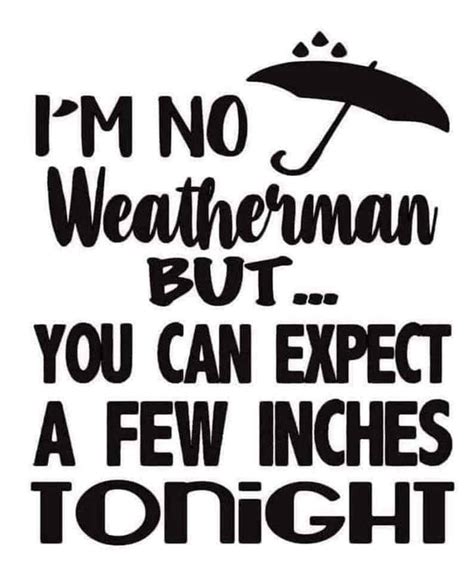 Im No Weatherman Svg But You Can Expect A Few Svg Inches Svg Etsy