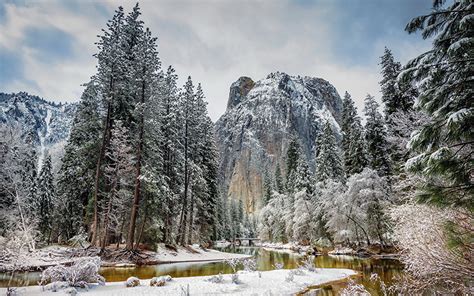 Photo Yosemite Usa Winter Nature Mountains Park Snow Landscape