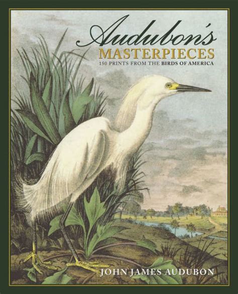 Audubons Masterpieces 150 Prints From The Birds Of America By John