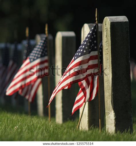 Veterans Cemetery Memorial Celebration American Flag Stock Photo Edit