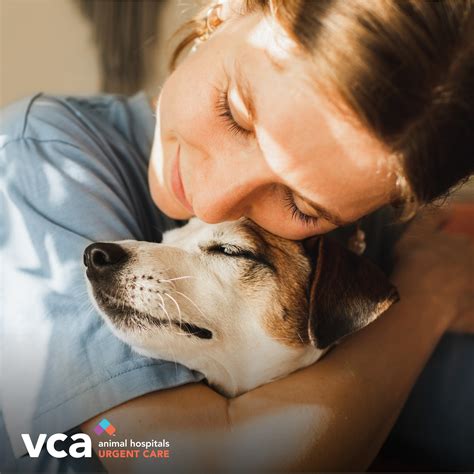 VCA Animal Hospitals