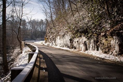 The Road Heading Into The Nc Arboretum In Asheville North Carolina