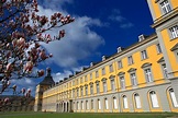 Rheinische Friedrich-Wilhelms-Universität Bonn - Stiftung Zukunft Jetzt!