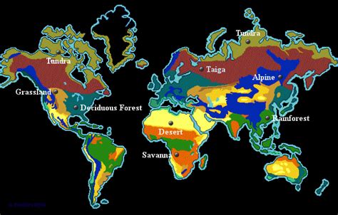 StepMap World Biomes Landkarte für World