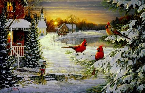 Cardinals Birds Cardinals Christmas Wallpapers Hd Wallpapers 95120