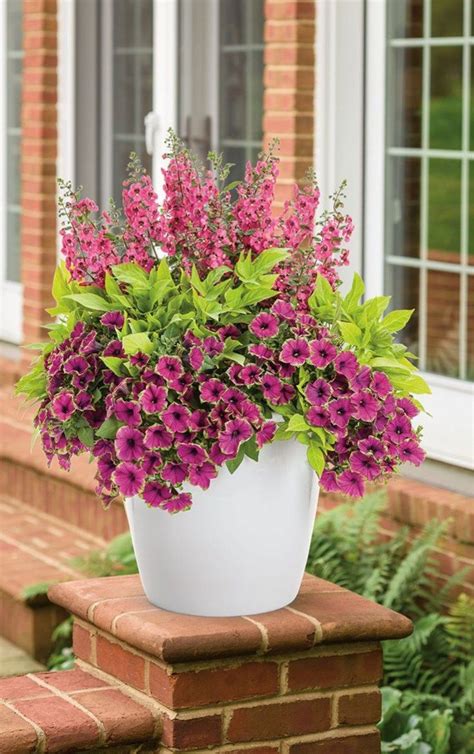 Amazing Summer Planter Ideas To Beautify Your Home 24 Container