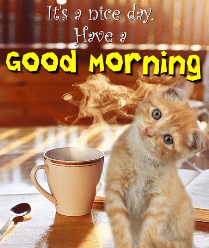 I miss you this morning i miss you in the morning, i miss you all day, looking at the sun shine, this is what i want to say, that you have an awesome day today, keep smiling and have a good day, good morning! A Cute Morning Card Just For You. Free Good Morning eCards ...