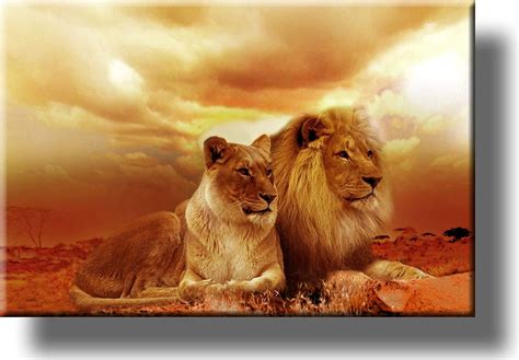 Lion And Lioness Picture On Stretched Canvas Wall Art Décor Ready