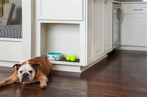 The Best Pet Friendly Flooring For Dogs And Cats Doorways Magazine