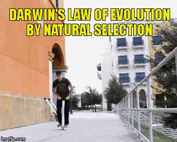 Darwin's finches by john gould. Darwin's law of evolution by natural selection in action ...