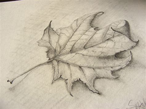 Fall Leaves Sketch At Explore Collection Of Fall