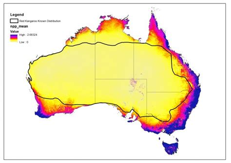 Estimating Kangaroo Populations Maxent And Gis Modelling Australian Wildlife Services