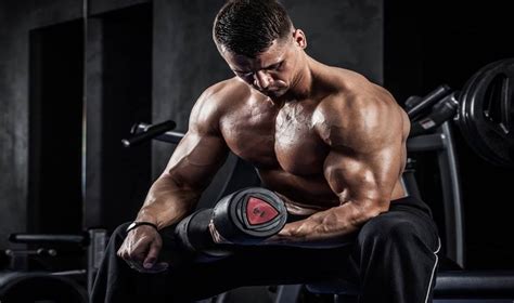 6 Rutinas de Musculación Fuerza Volumen y Definición