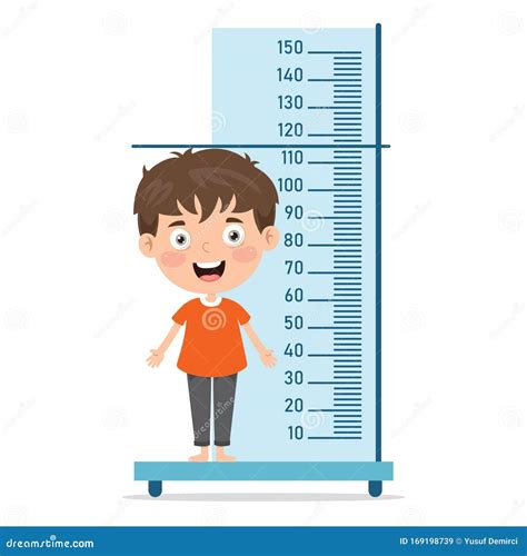 Height Measure For Little Children Stock Vector Illustration Of